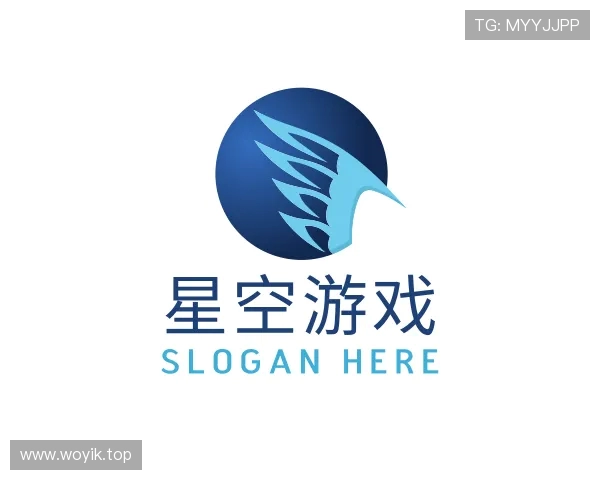 了解星空游戏官方网站入口